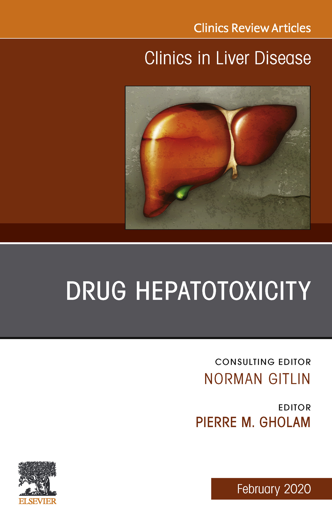 Drug Hepatotoxicity,An Issue of Clinics in Liver Disease, E-Book