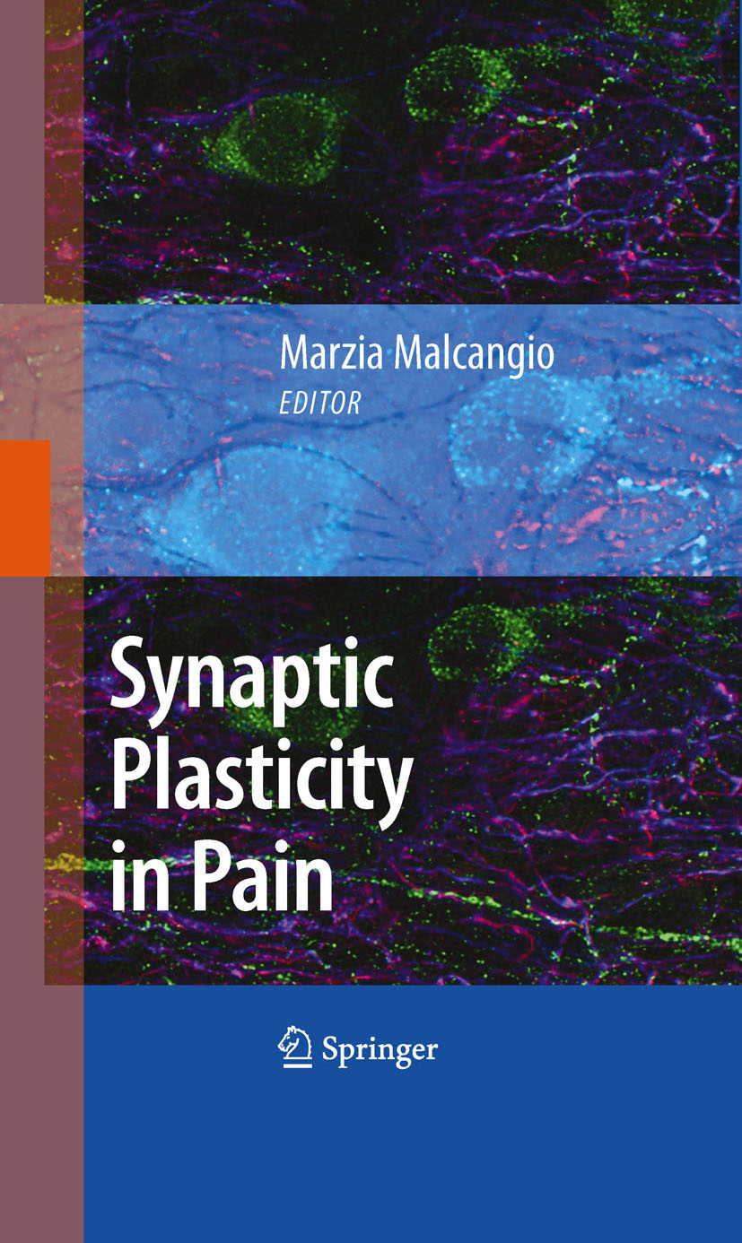 Cover Synaptic Plasticity in Pain