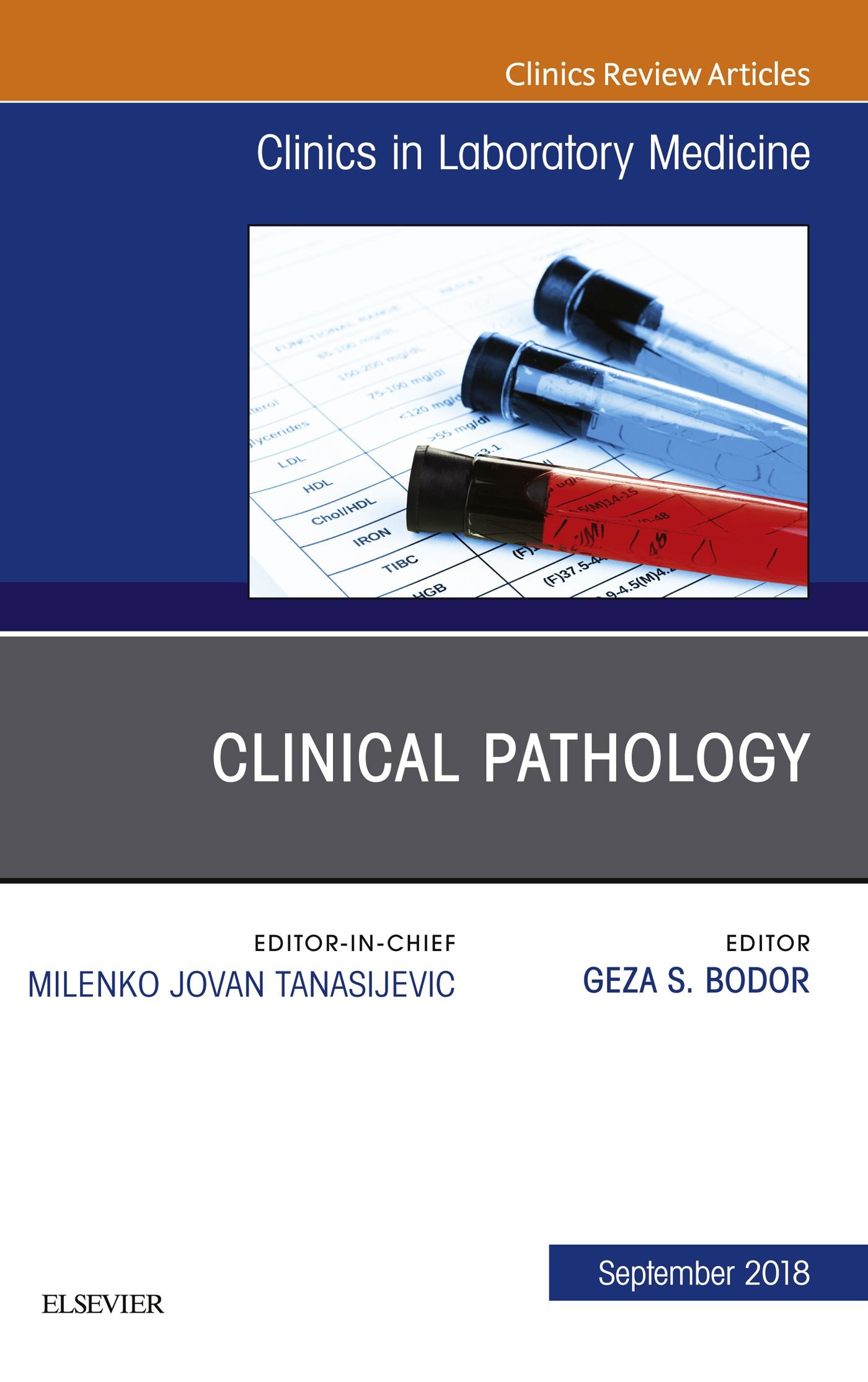 Cover Clinical Pathology, An Issue of the Clinics in Laboratory Medicine E-Book