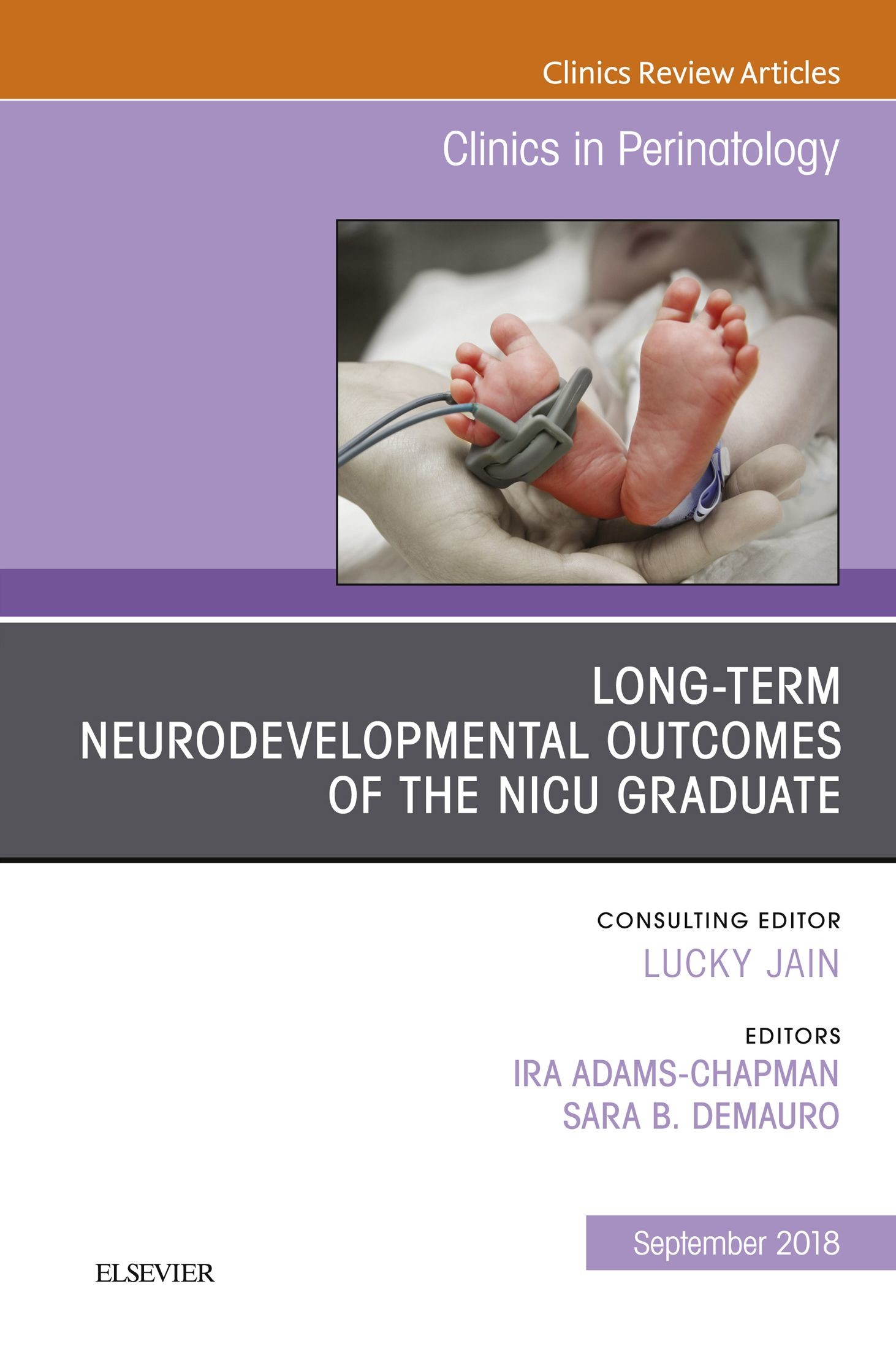 Cover Long-Term Neurodevelopmental Outcomes of the NICU Graduate, An Issue of Clinics in Perinatology E-Book