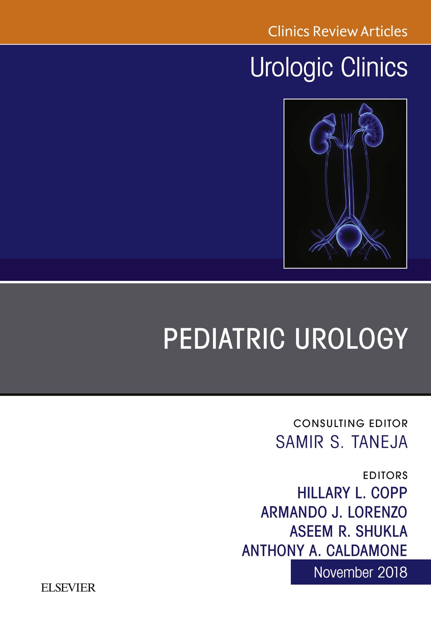 Pediatric Urology, An Issue of Urologic Clinics E-Book