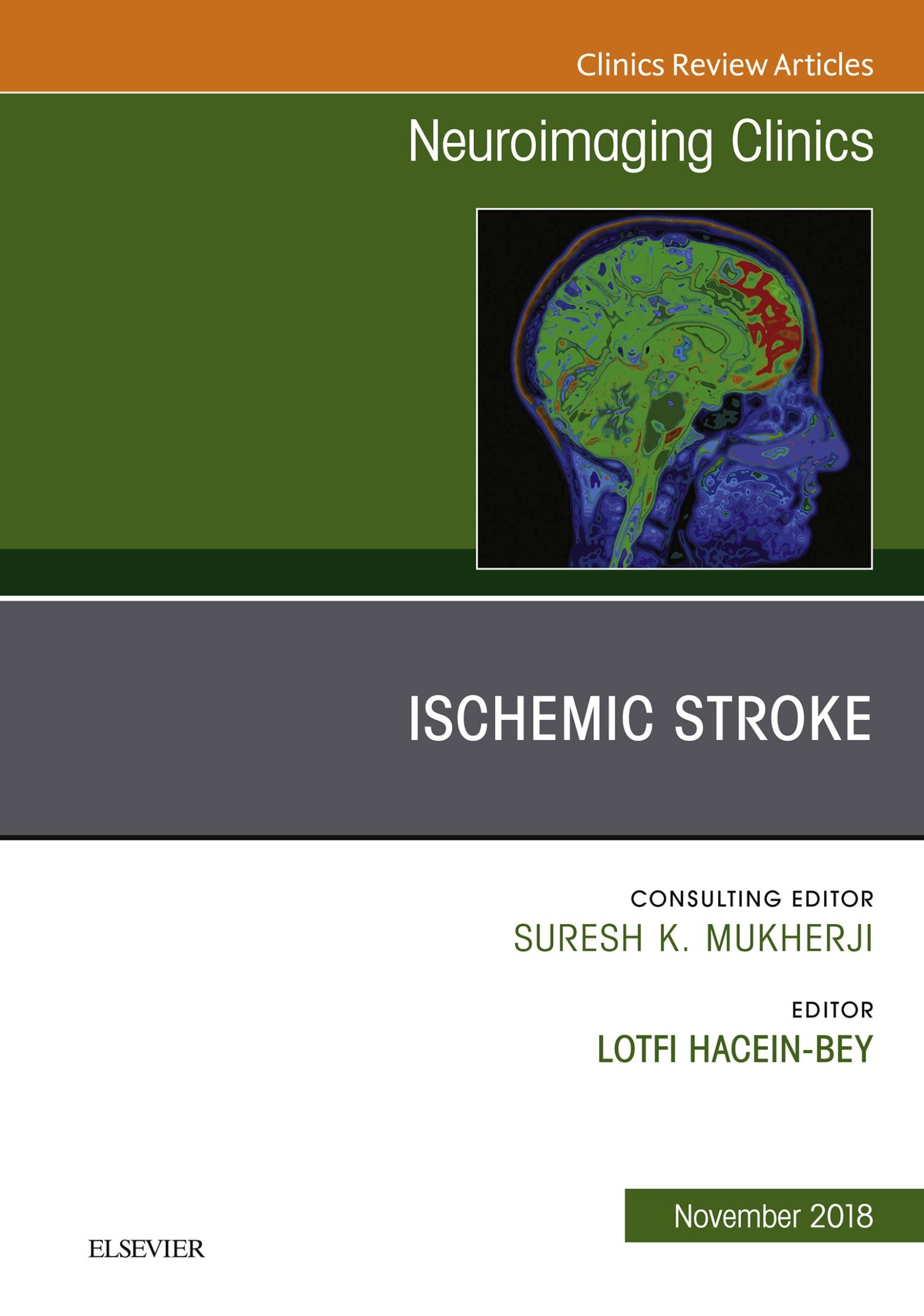 Cover Ischemic Stroke, An Issue of Neuroimaging Clinics of North America E-Book
