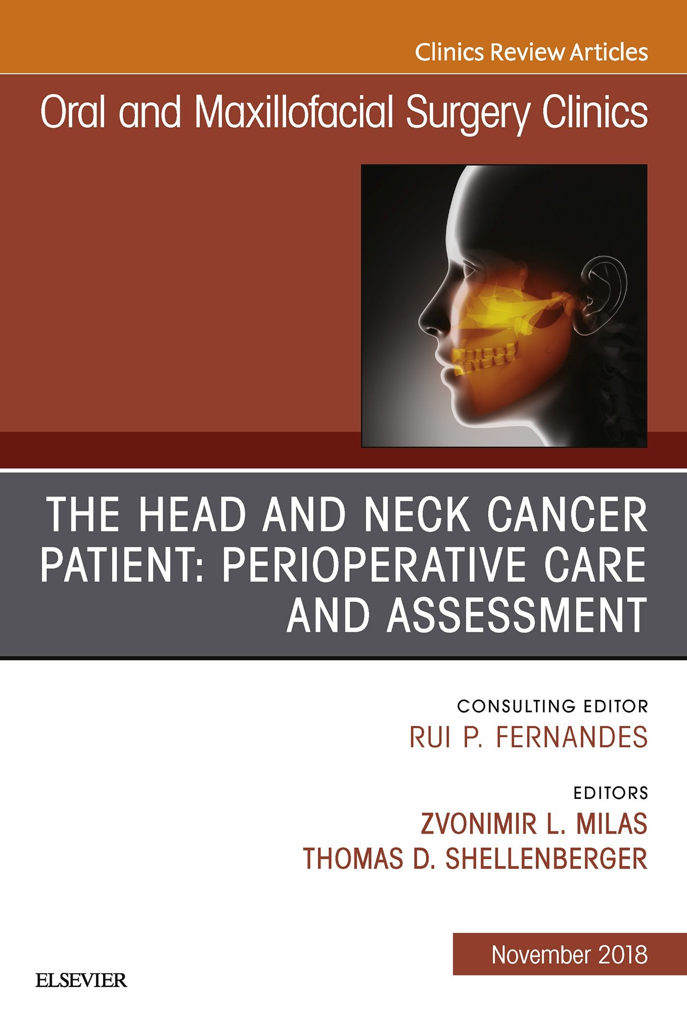 The Head and Neck Cancer Patient: Perioperative Care and Assessment, An Issue of Oral and Maxillofacial Surgery Clinics of North America E-Book