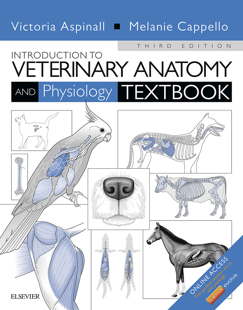 Introduction To Veterinary Anatomy And Physiology Textbook E Book E Book 7389