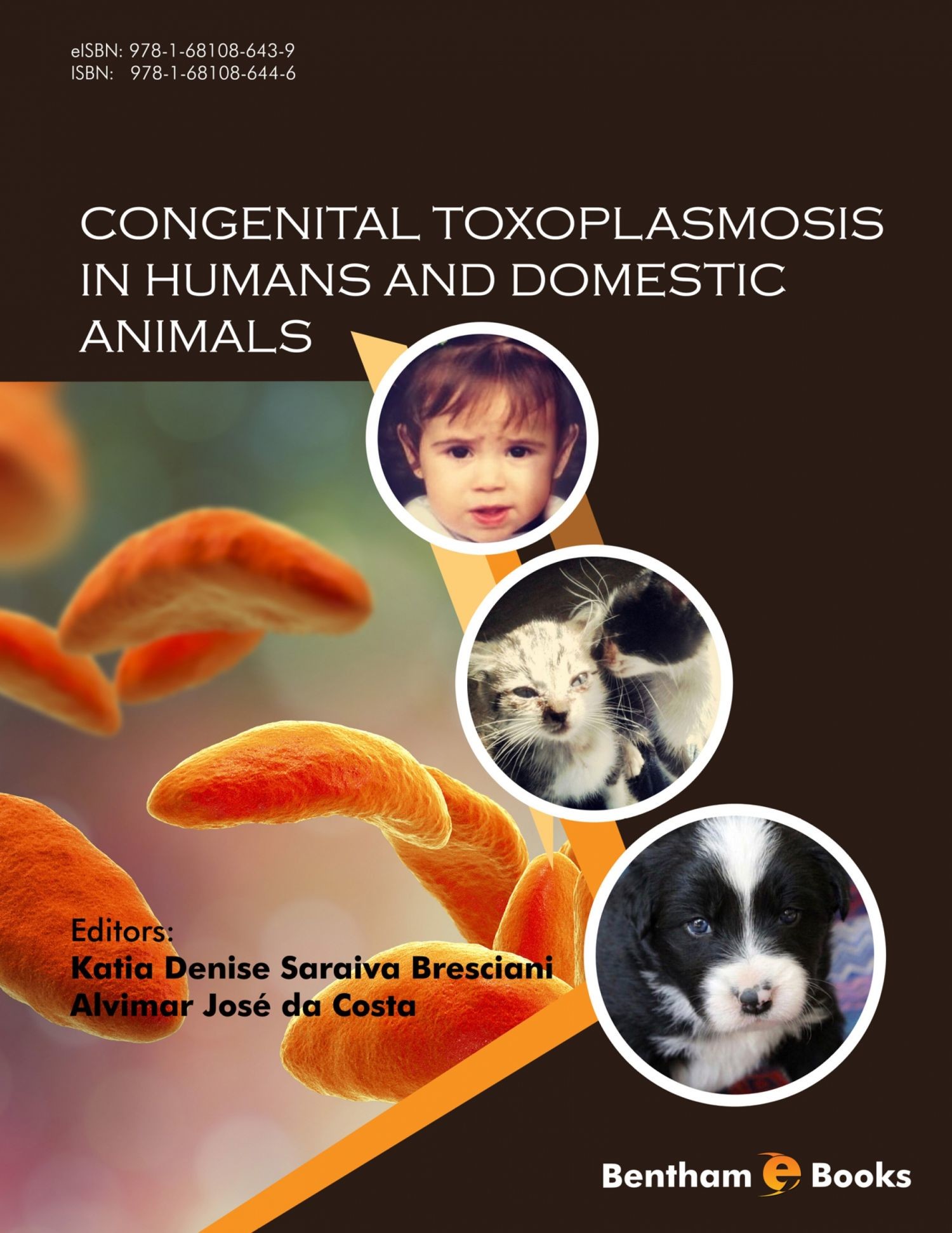 Cover Congenital Toxoplasmosis in Humans and Domestic Animals