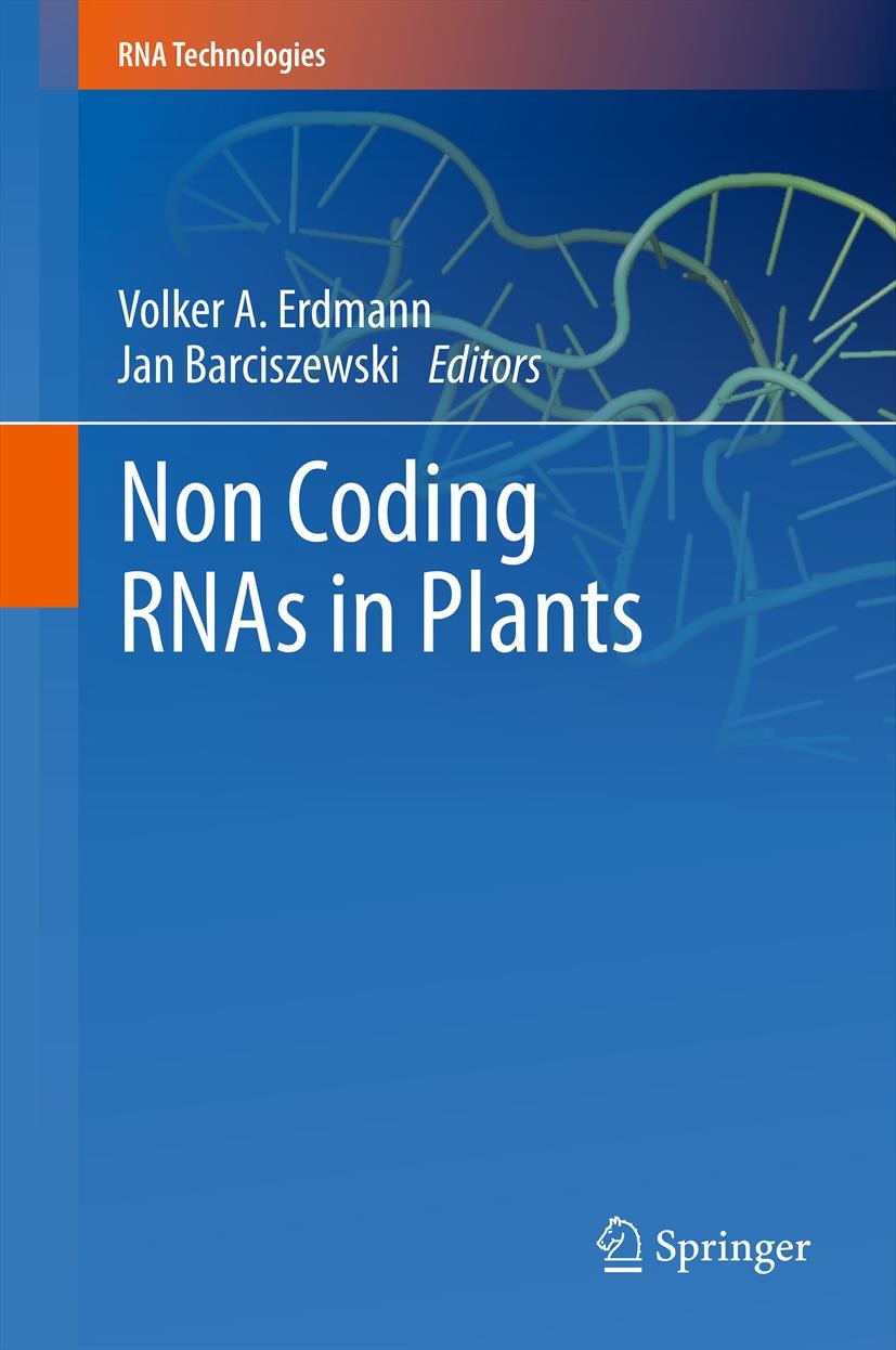 Non Coding RNAs In Plants - E-Book - Frohberg