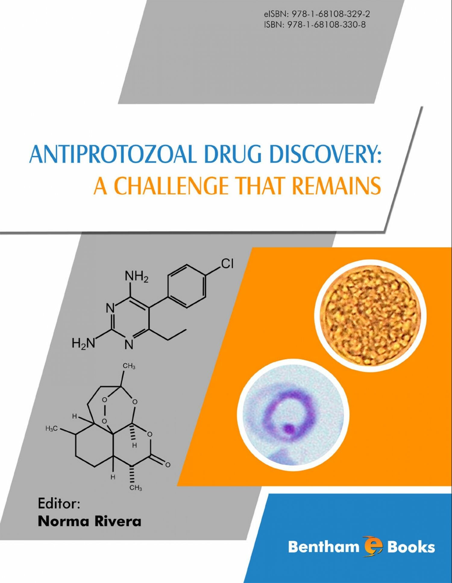 Cover Antiprotozoal Drug Discovery: A Challenge That Remains
