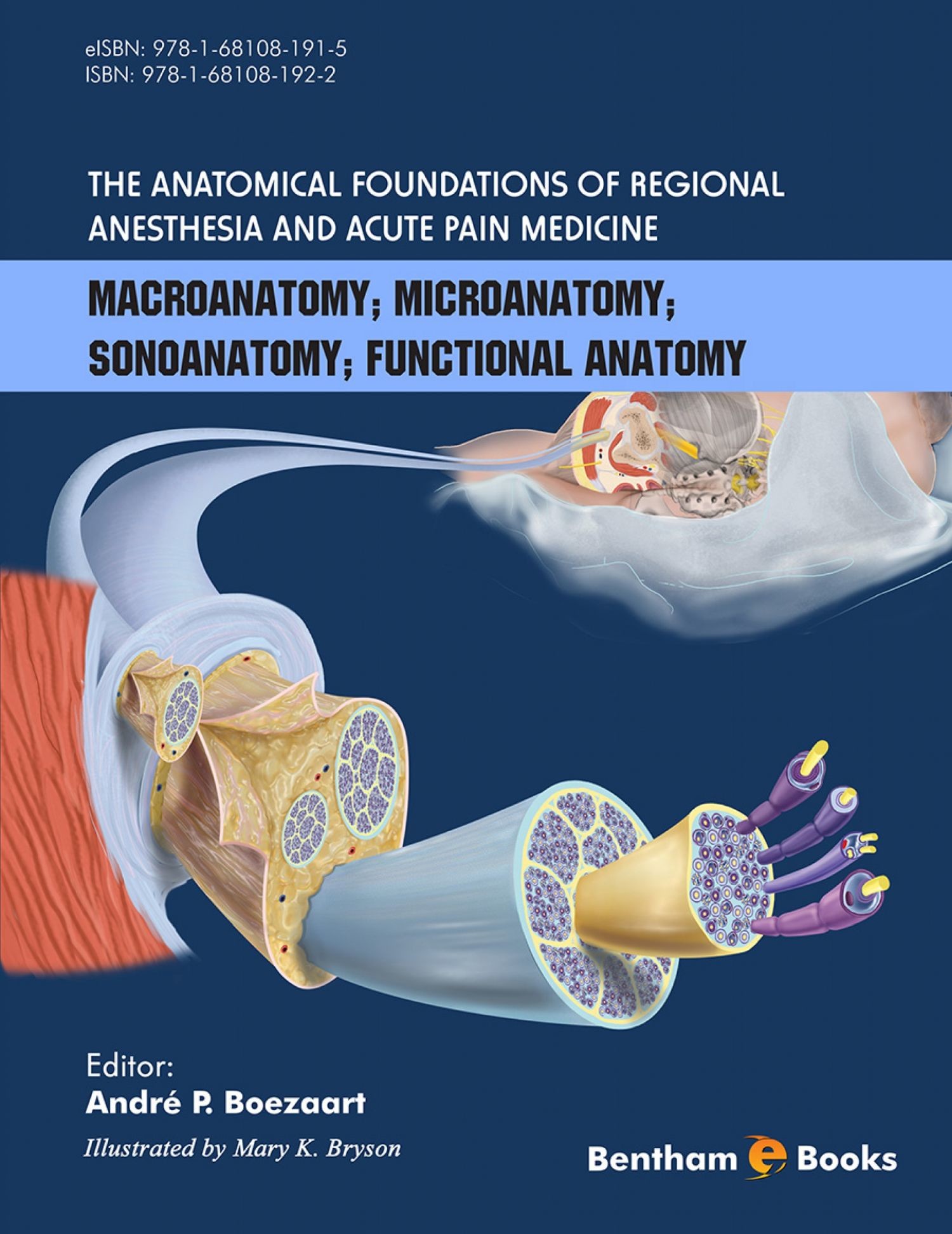 Cover The Anatomical Foundations of Regional Anesthesia and Acute Pain Medicine