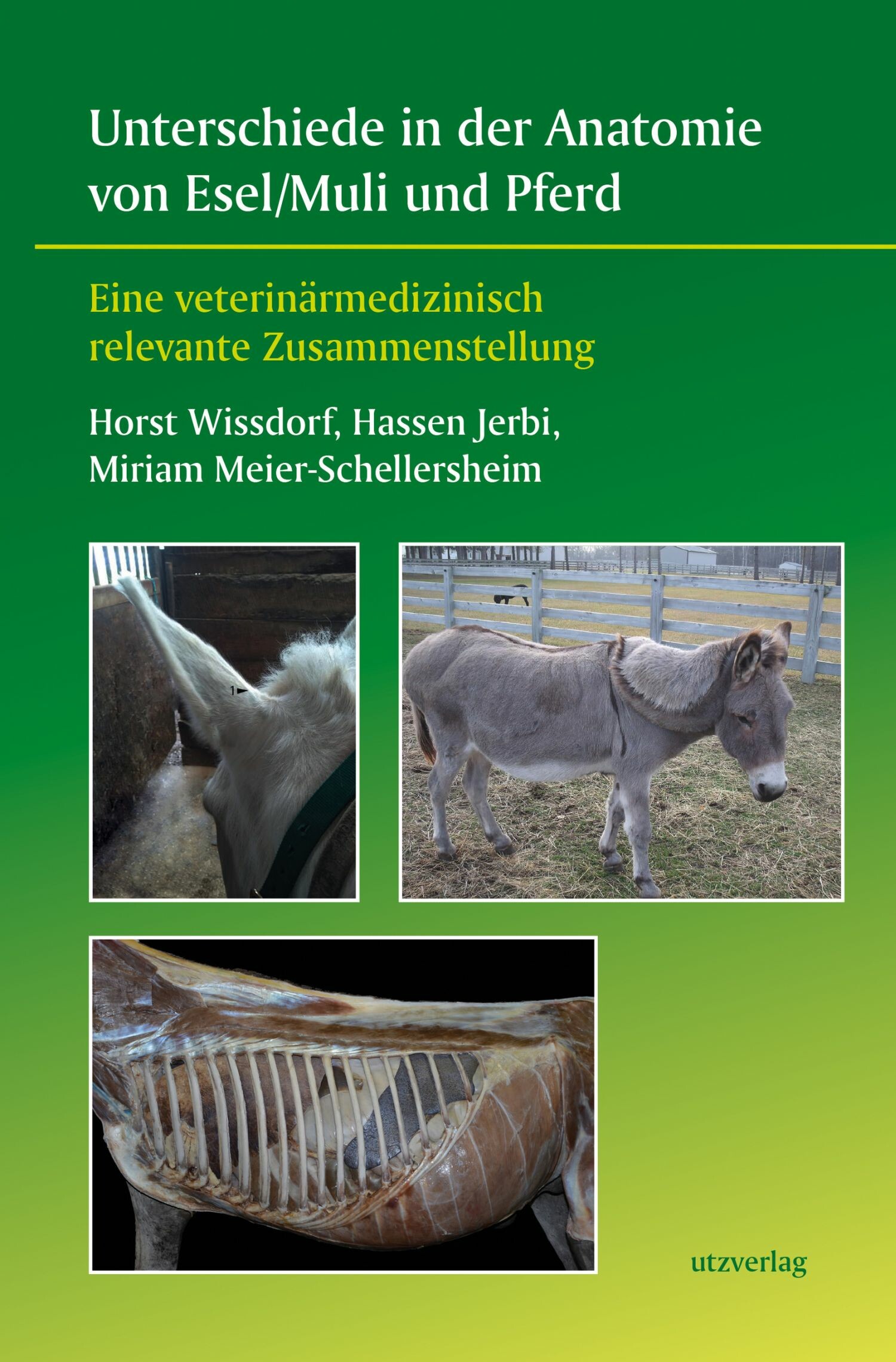 Cover Unterschiede in der Anatomie von Esel/Muli und Pferd