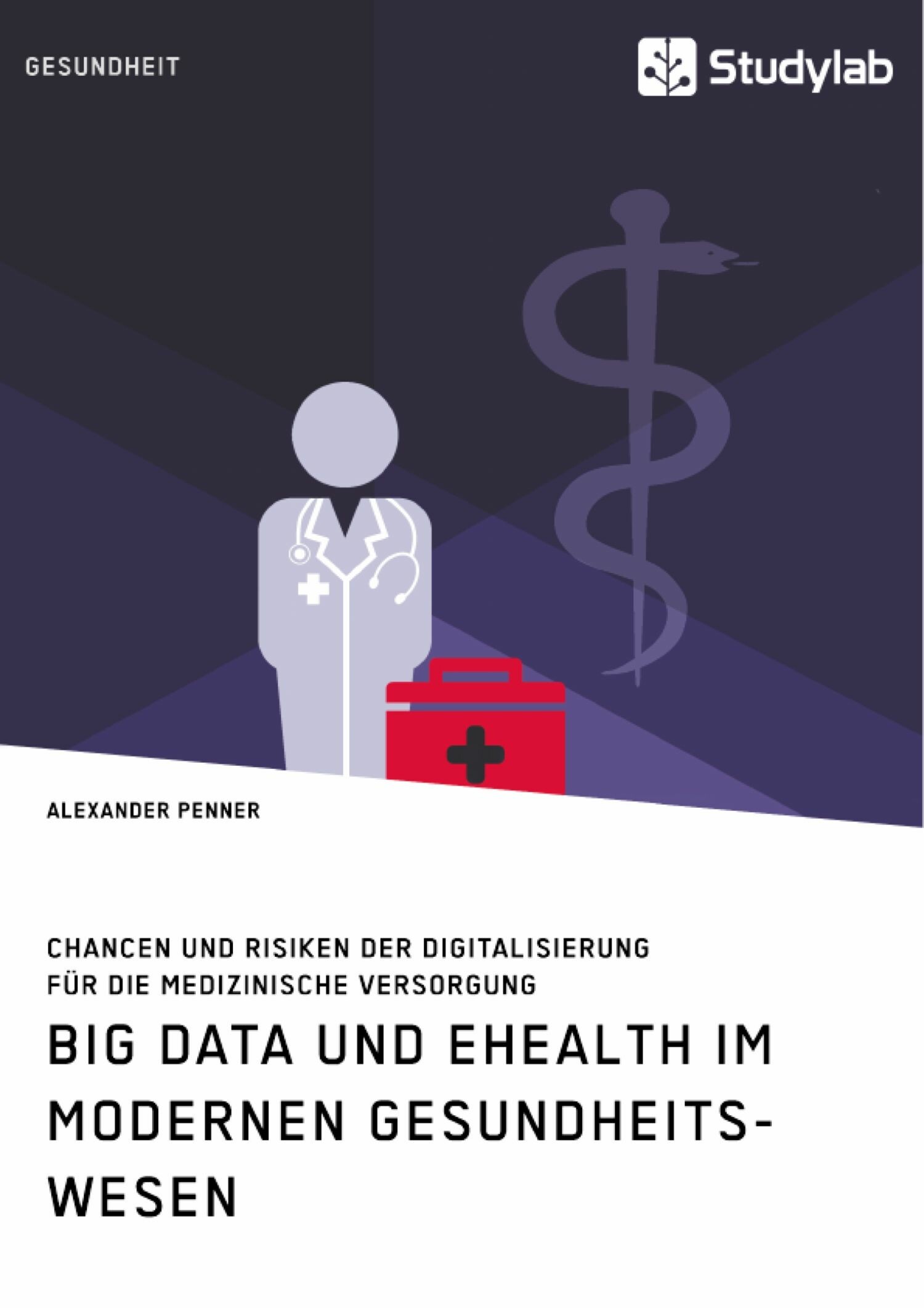 Big Data Und EHealth Im Modernen Gesundheitswesen. Chancen Und Risiken ...