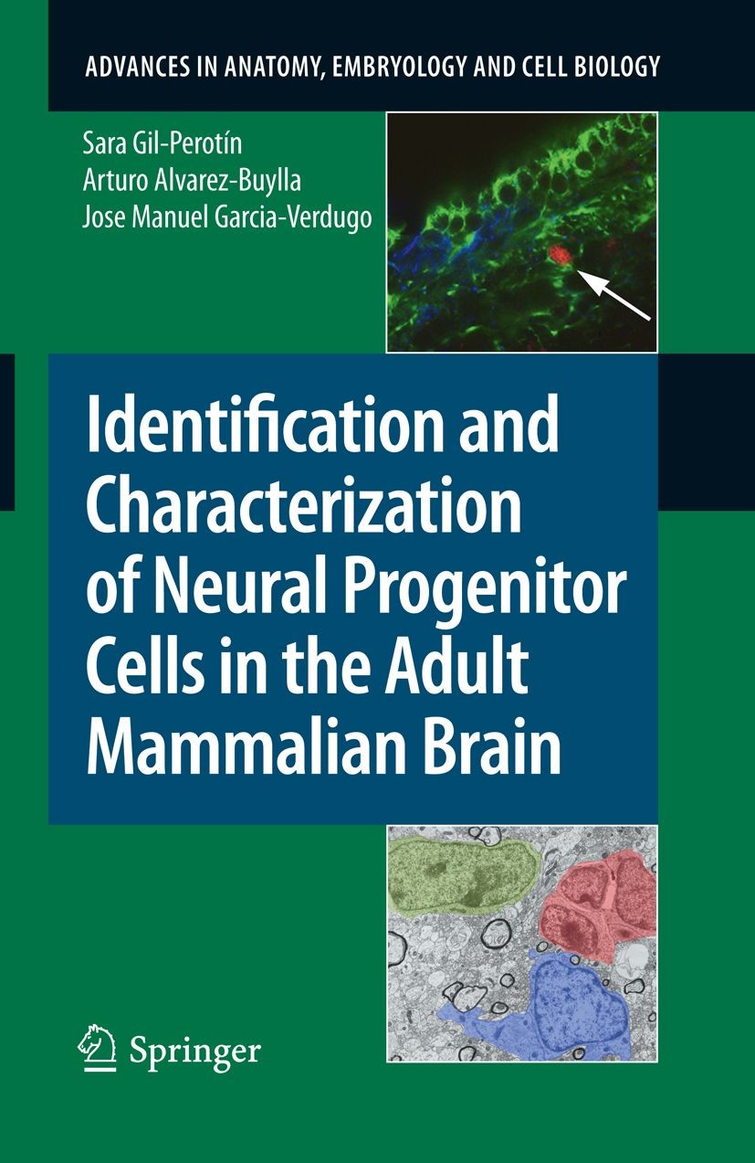 Cover Identification and Characterization of Neural Progenitor Cells in the Adult Mammalian Brain