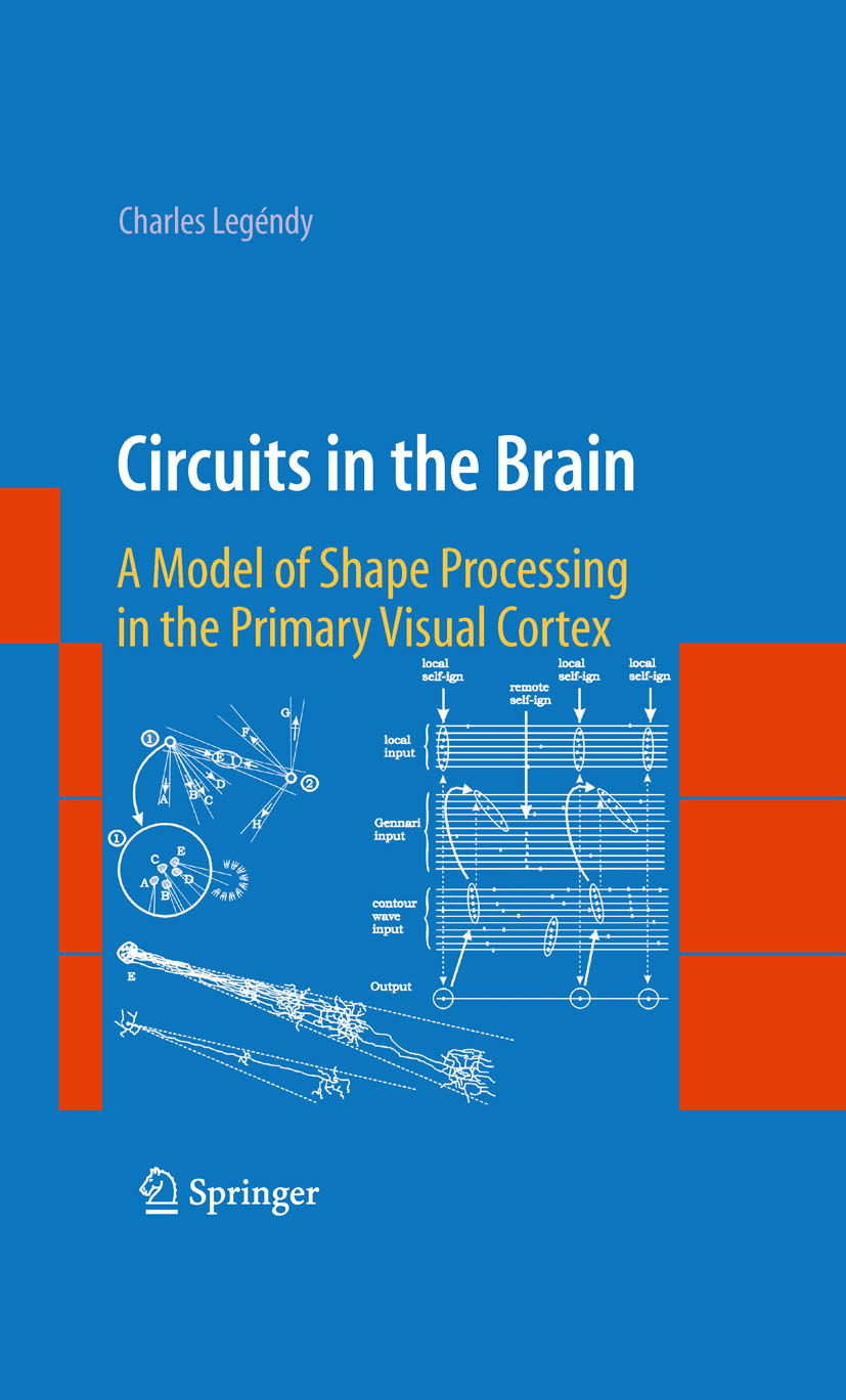 Cover Circuits in the Brain