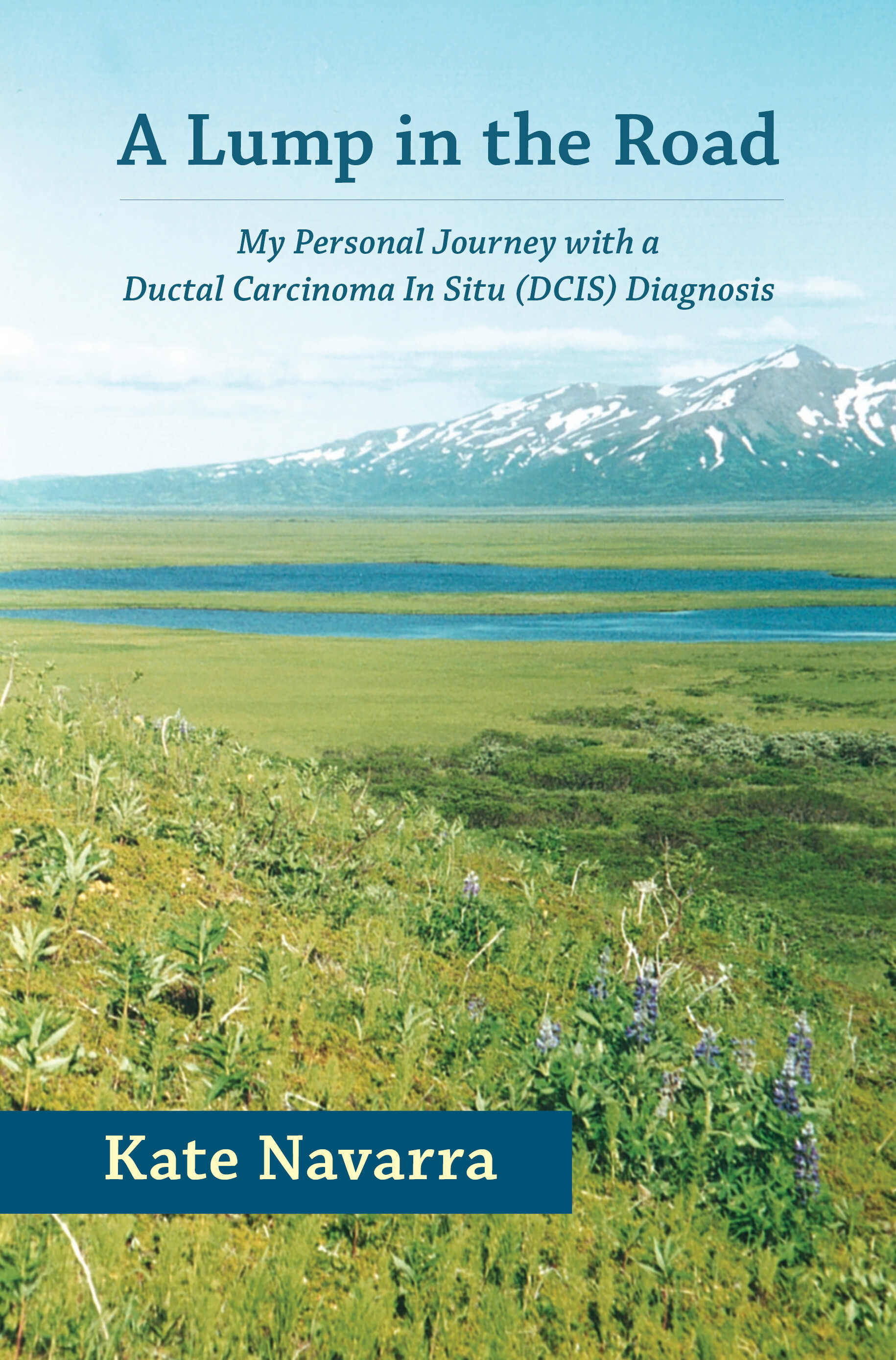 Cover A Lump in the Road