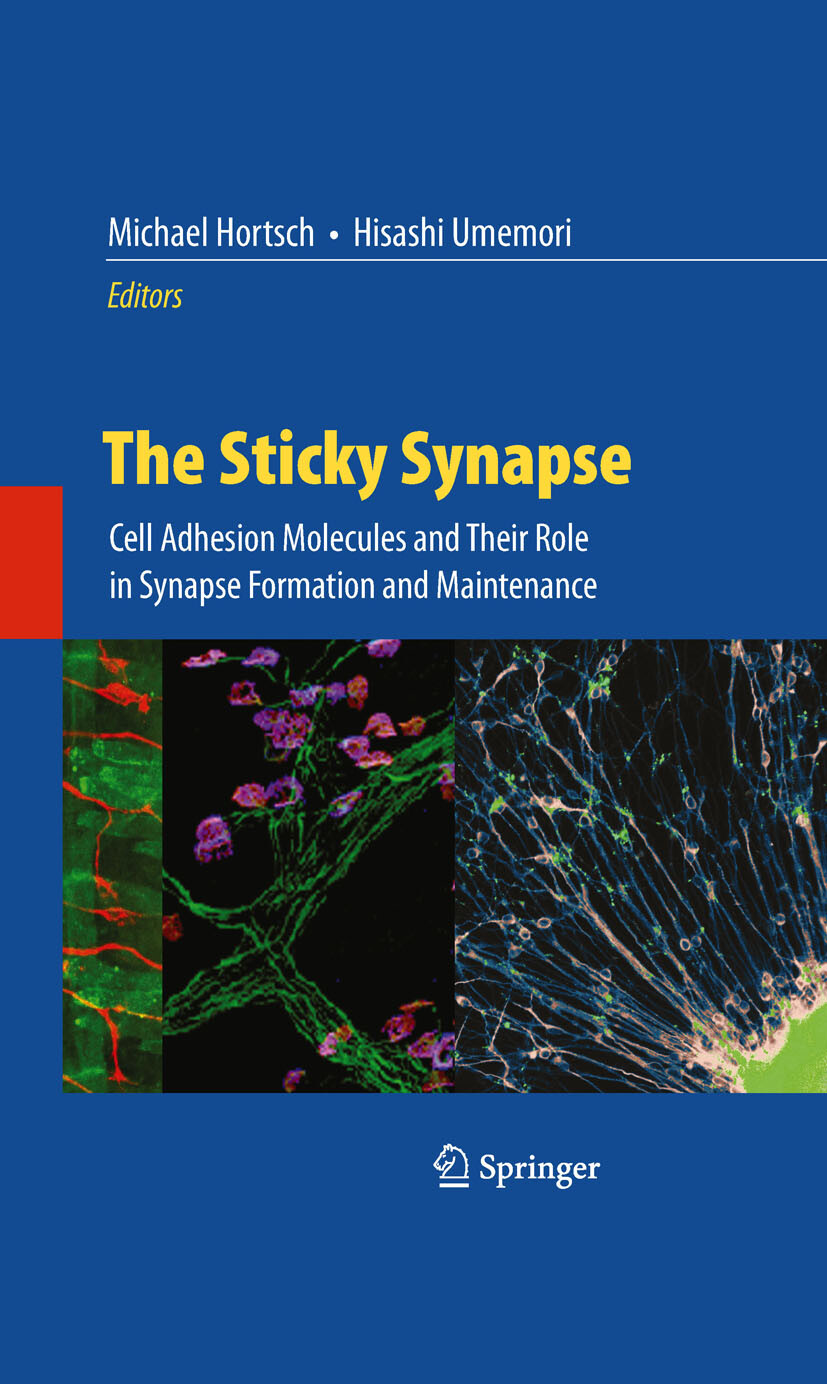 Cover The Sticky Synapse