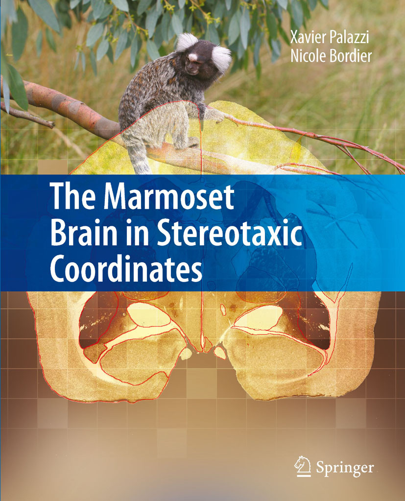 Cover The Marmoset Brain in Stereotaxic Coordinates