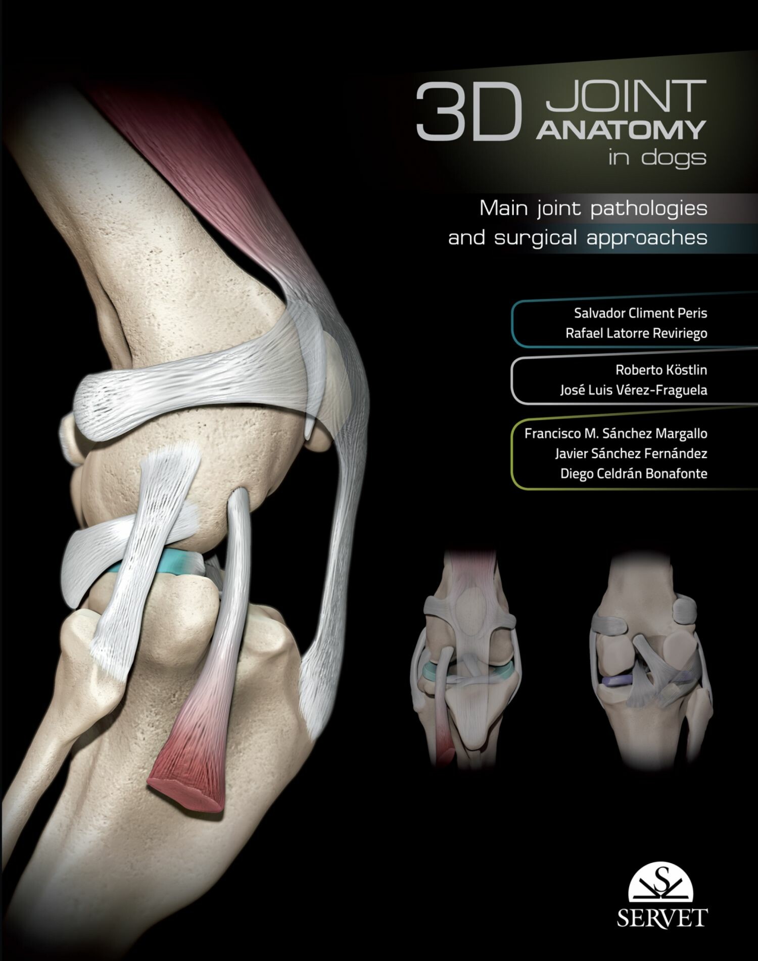 Cover 3D Joint anatomy in dogs
