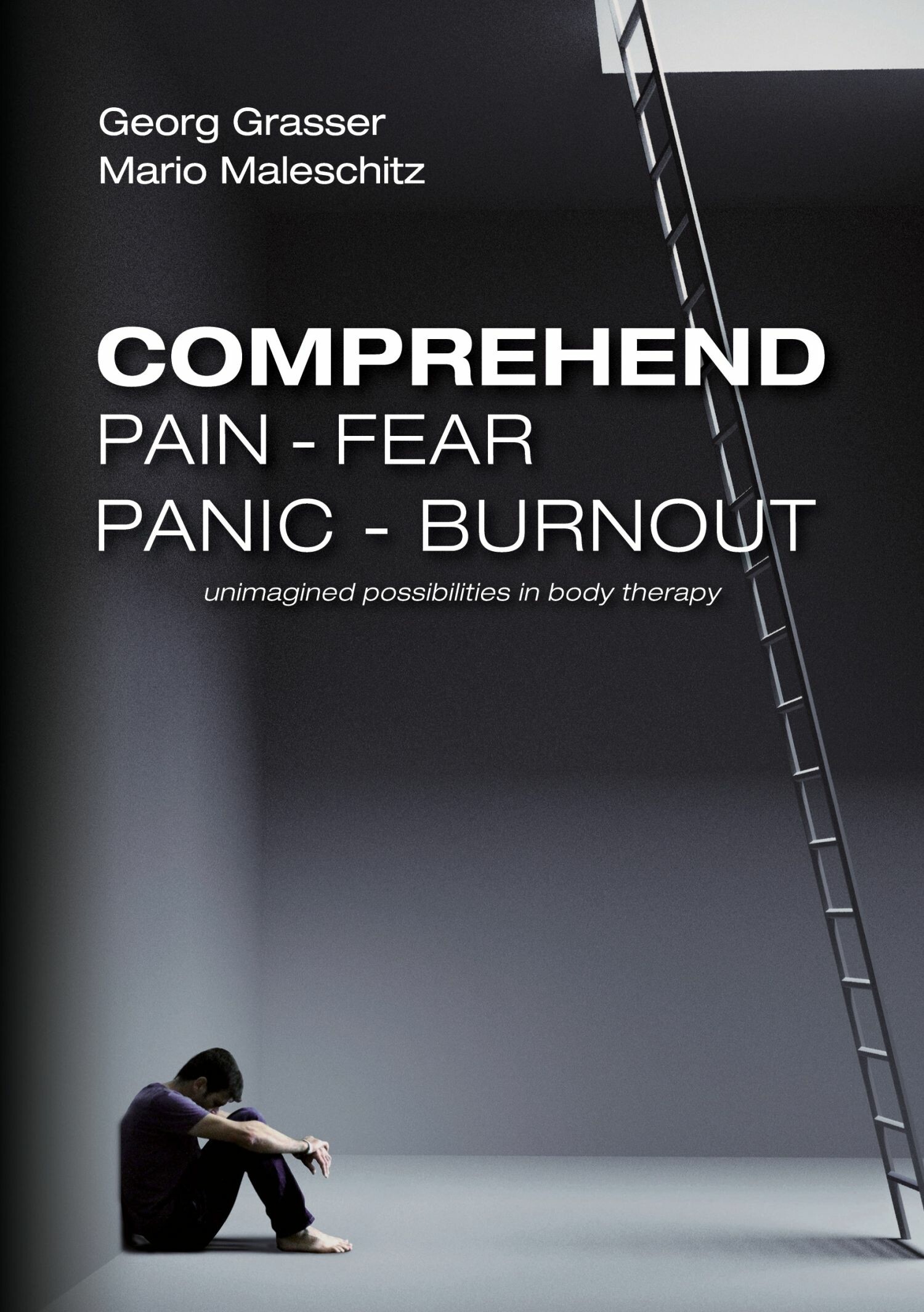 Cover Comprehend Pain-Fear-Panic-Burnout