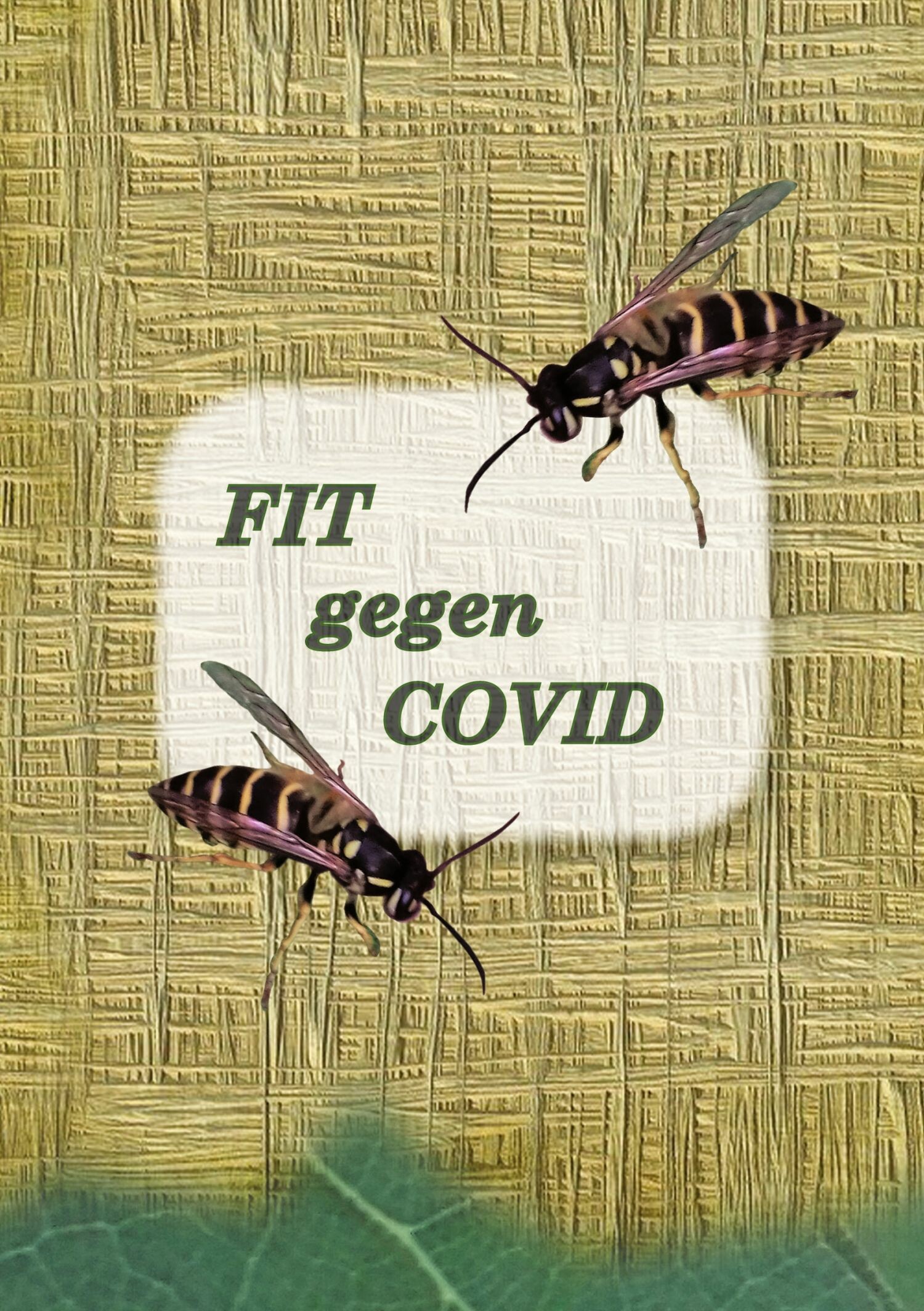Cover FIT gegen COVID