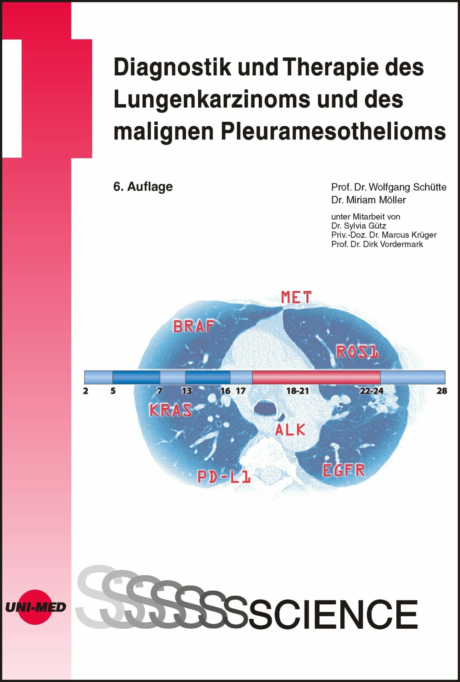Cover Diagnostik und Therapie des Lungenkarzinoms und des malignen Pleuramesothelioms