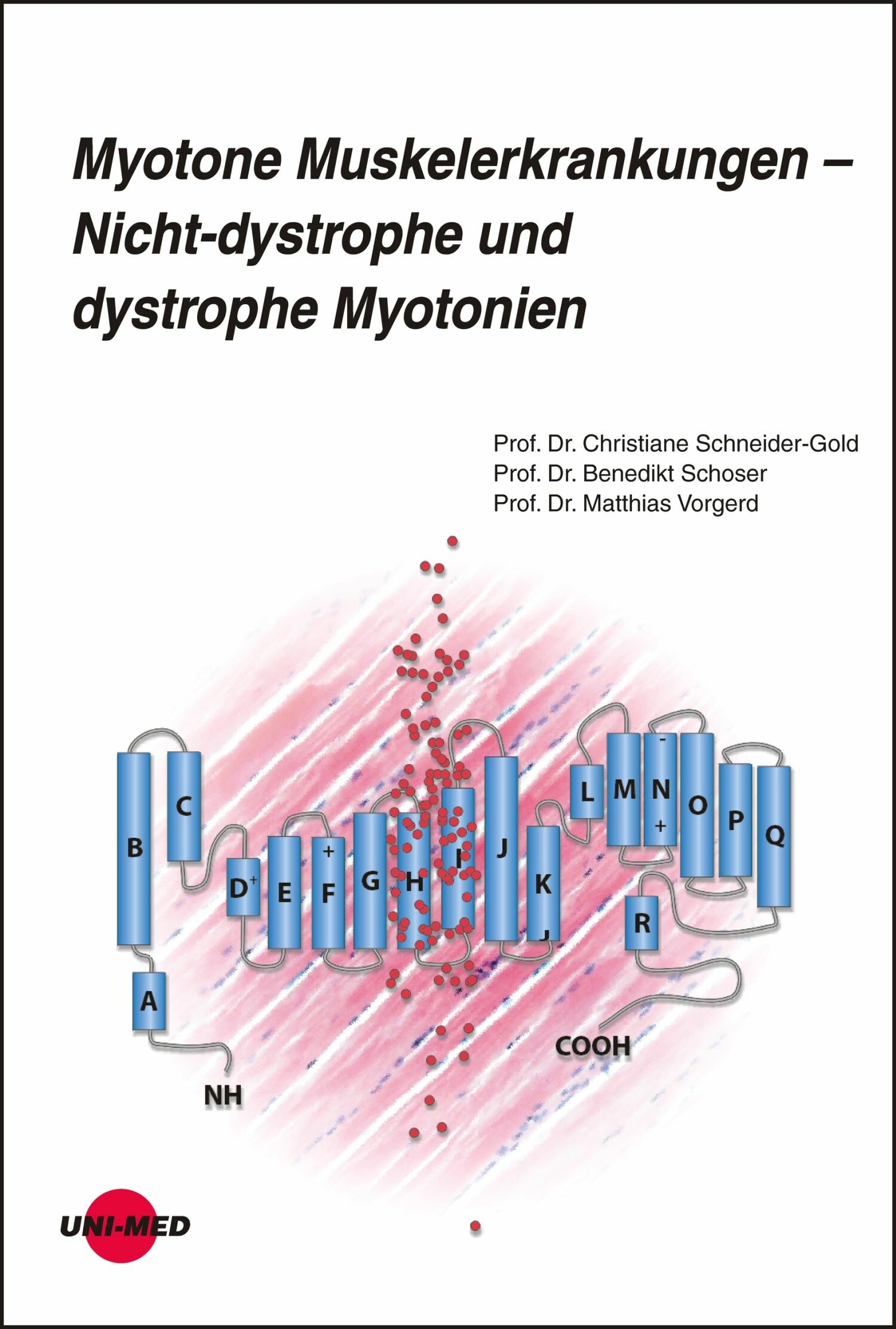 Cover Myotone Muskelerkrankungen - Nicht-dystrophe und dystrophe Myotonien