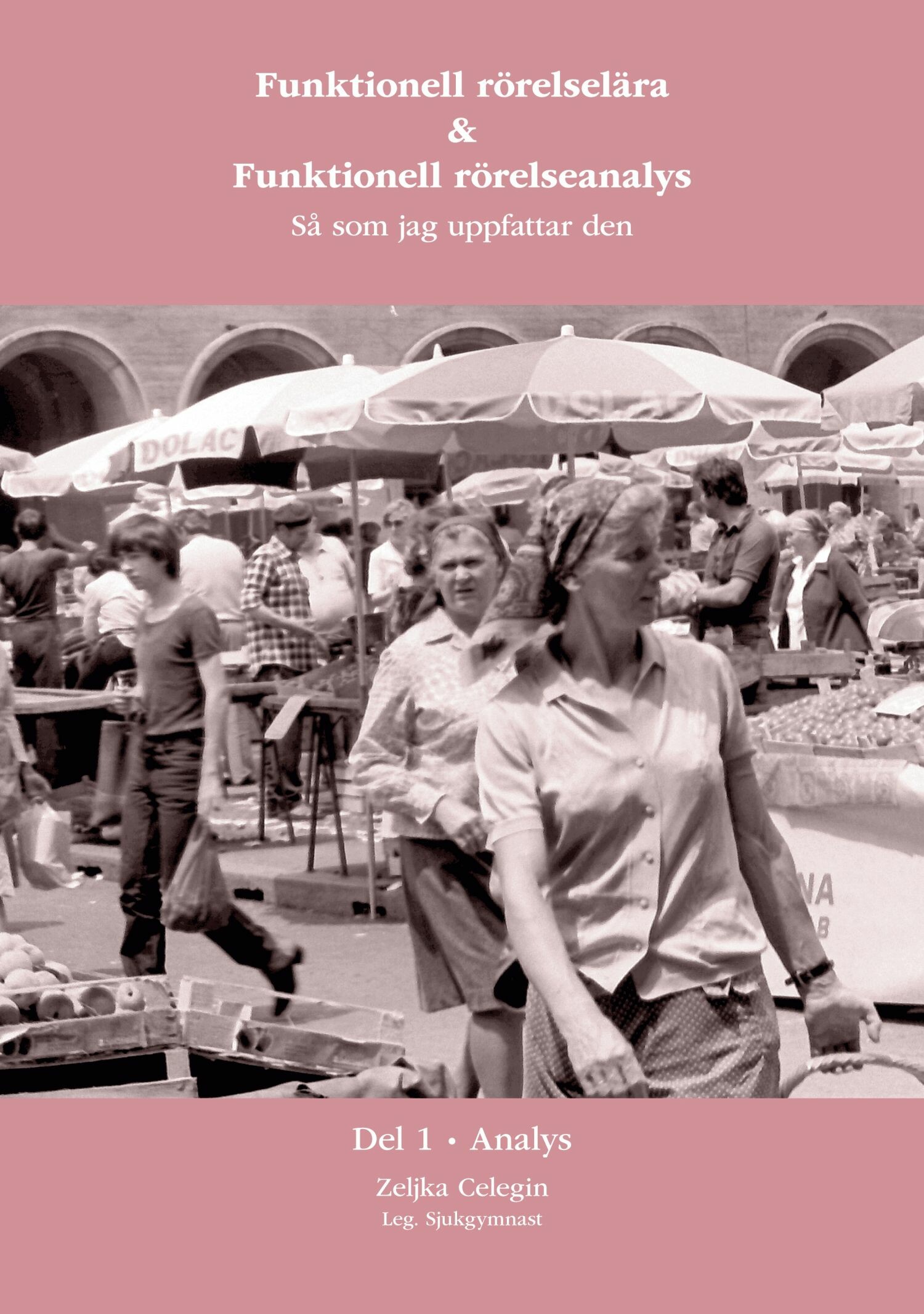 Funktionell rörelselära och Funktionell rörelseanalys så som jag uppfattar den