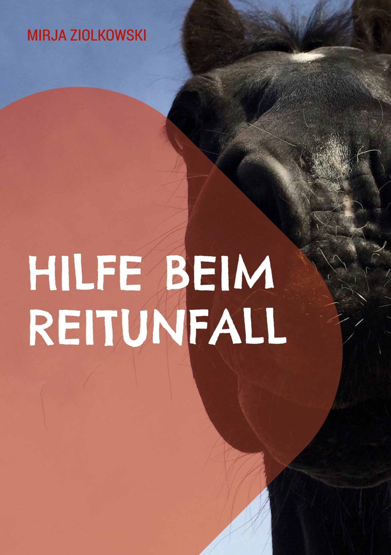 Cover Hilfe beim Reitunfall