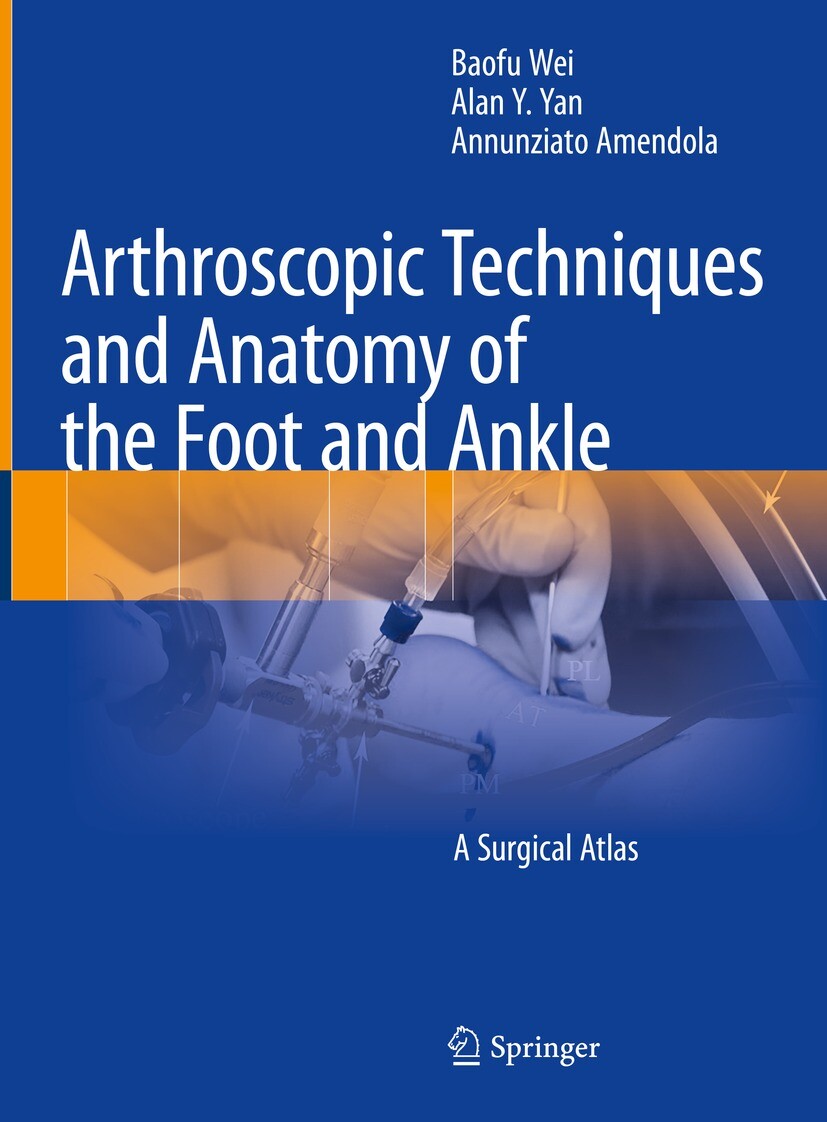 Cover Arthroscopic Techniques and Anatomy of the Foot and Ankle