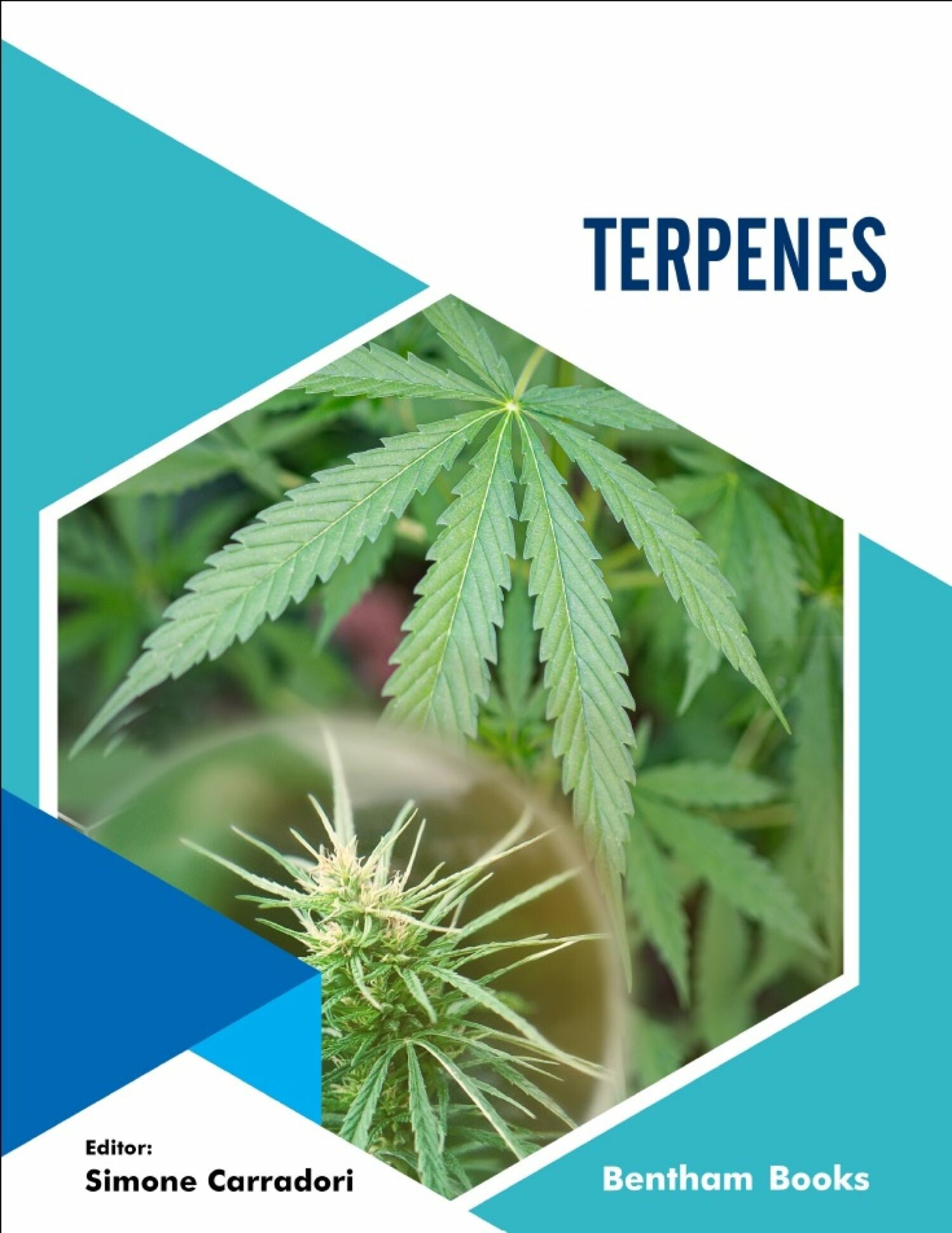 Cover Terpenes