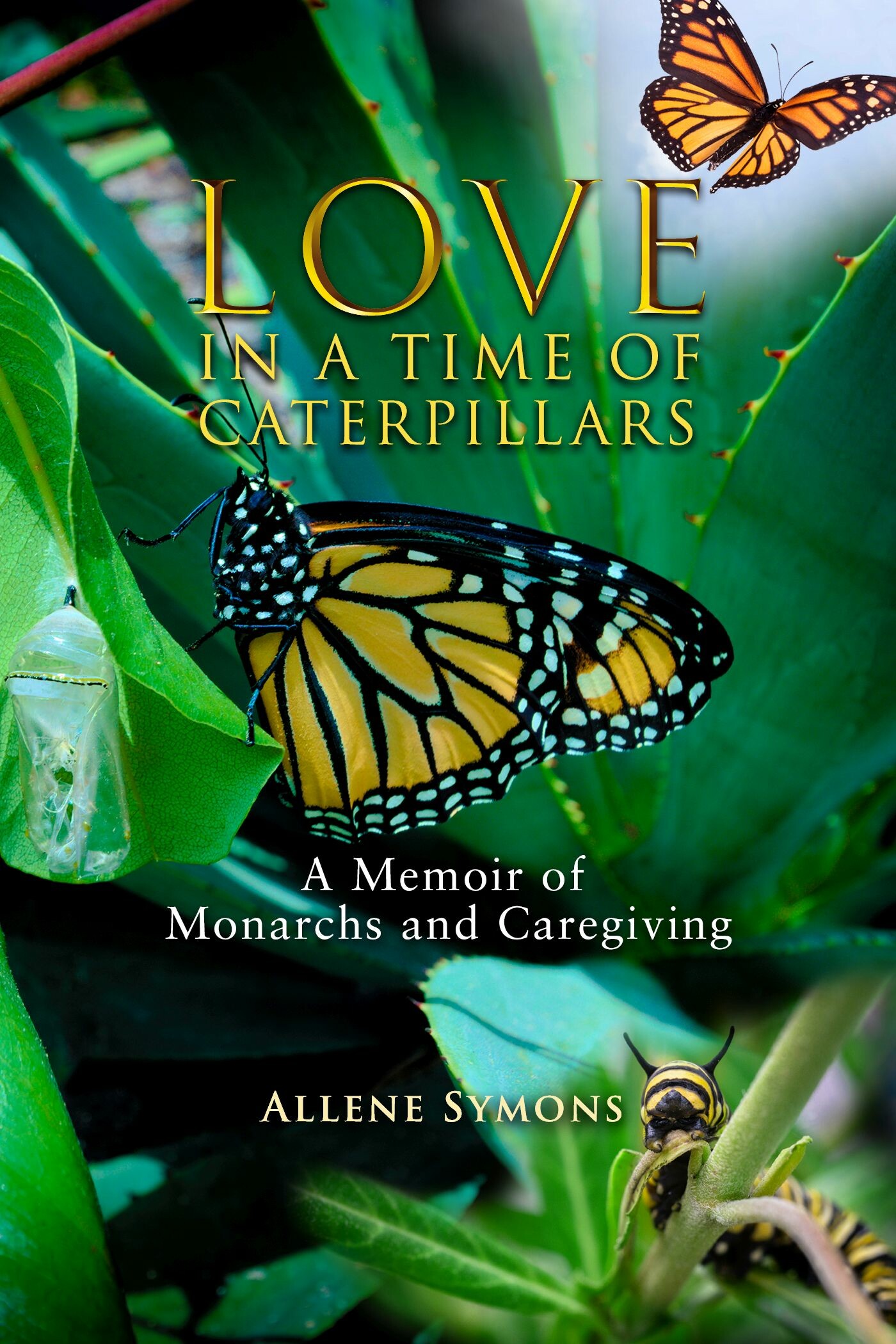 Cover Love in a Time of Caterpillars