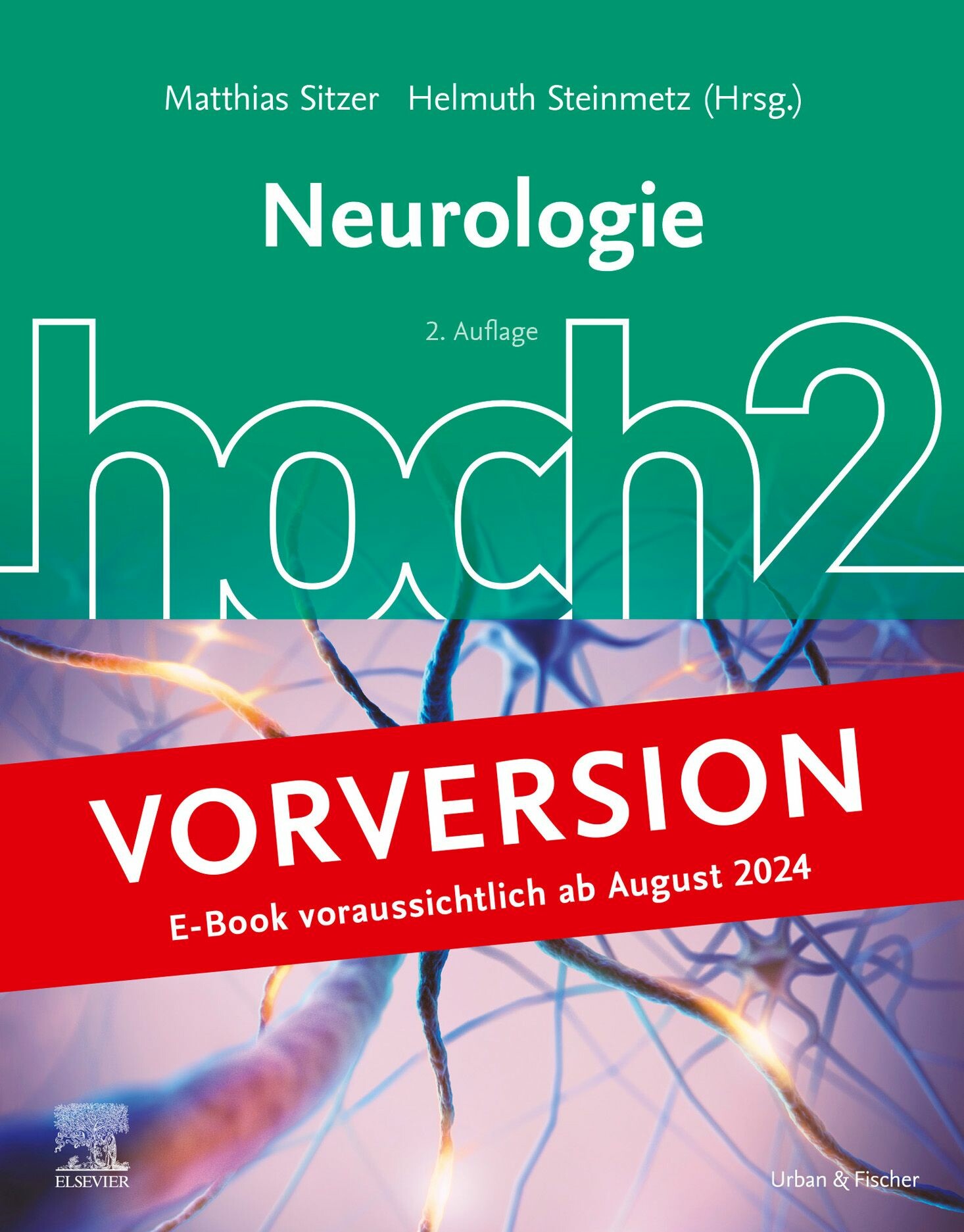 Neurologie hoch2