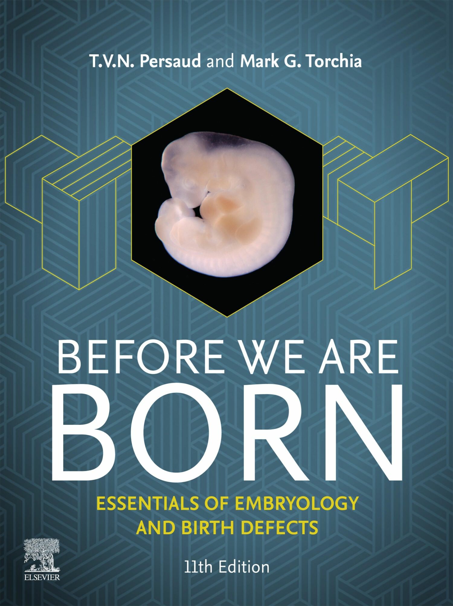 Before We Are Born - E-BOOK