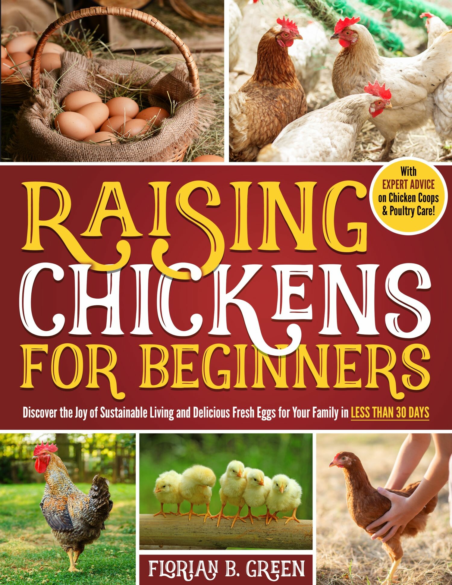 Cover Raising Chickens for Beginners