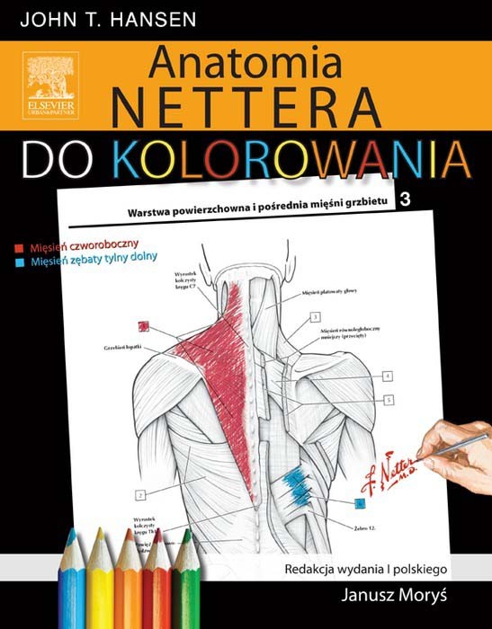 Cover Anatomia Nettera do kolorowania