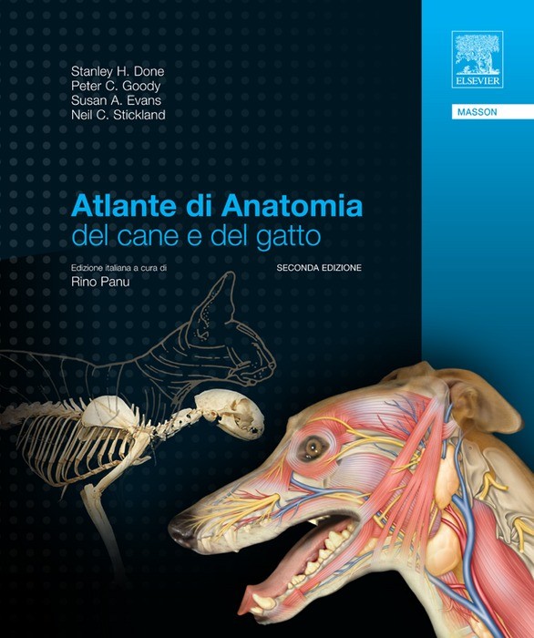 Cover Atlante di anatomia del cane e del gatto