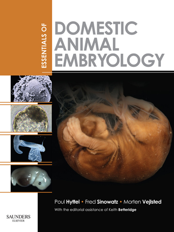 Cover Essentials of Domestic Animal Embryology E-Book