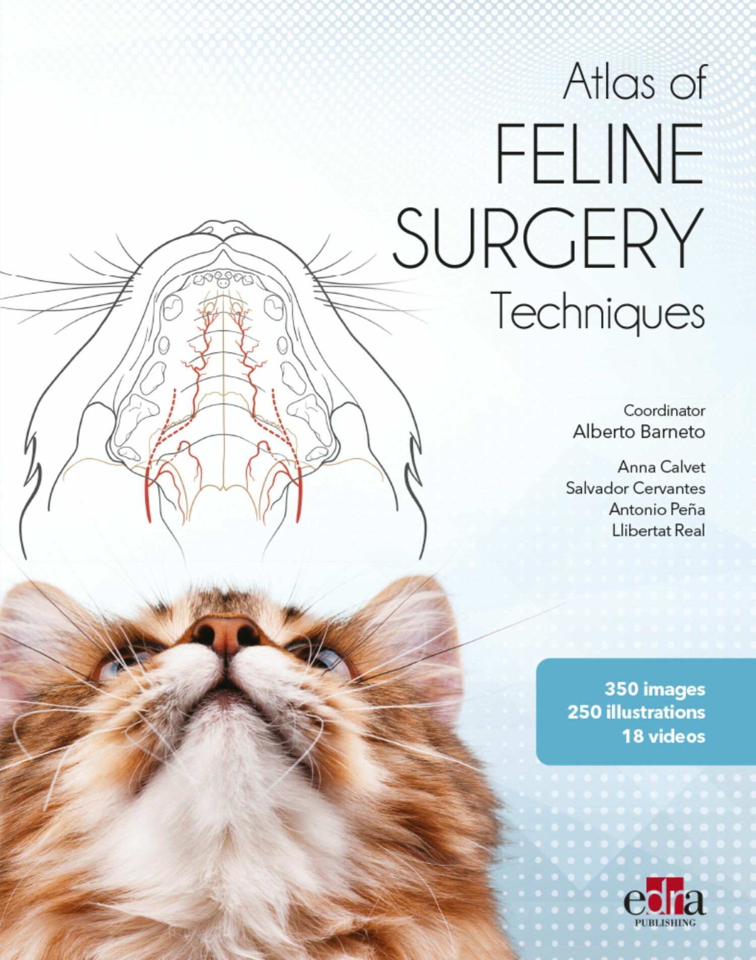 Cover Atlas of FELINE SURGERY Techniques