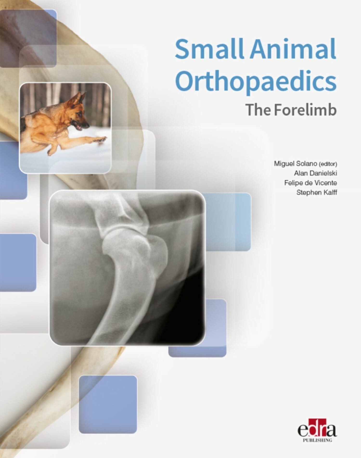 Small Animal Orthopaedics