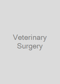 Veterinary Surgery