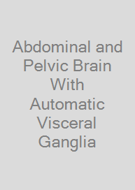 Cover Abdominal and Pelvic Brain With Automatic Visceral Ganglia