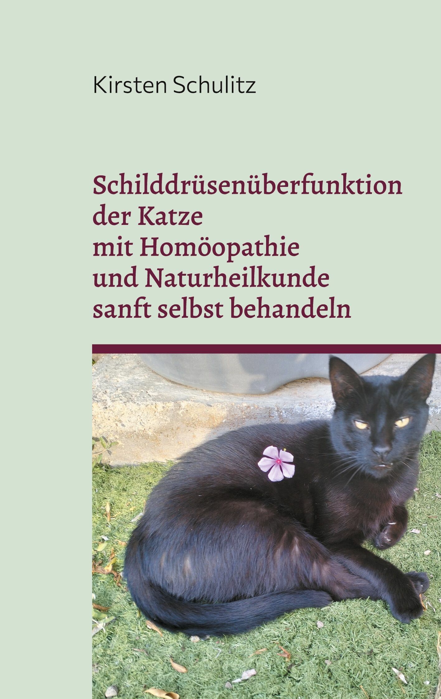 Cover Schilddrüsenüberfunktion der Katze mit Homöopathie und Naturheilkunde sanft selbst behandeln