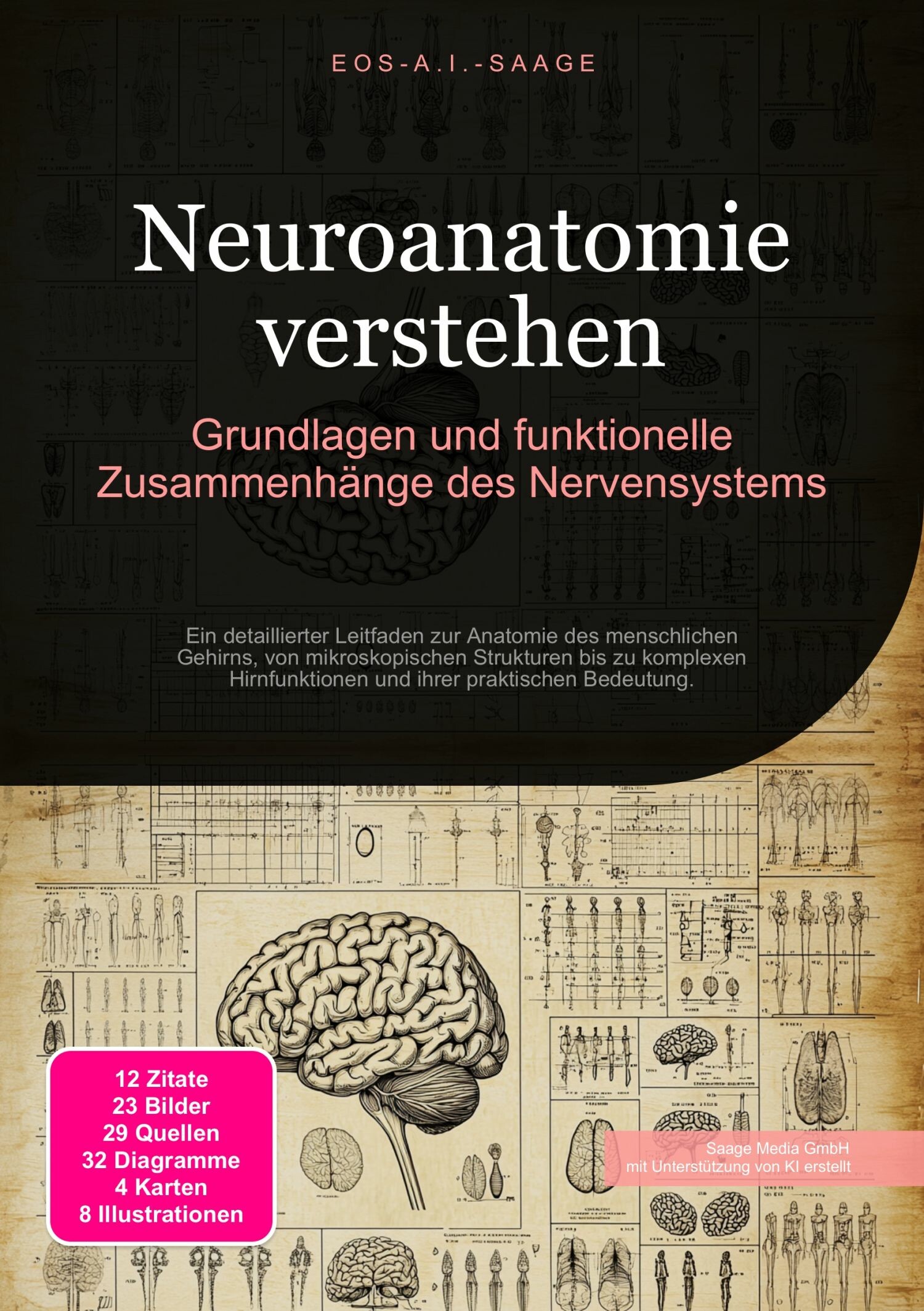 Cover Neuroanatomie verstehen