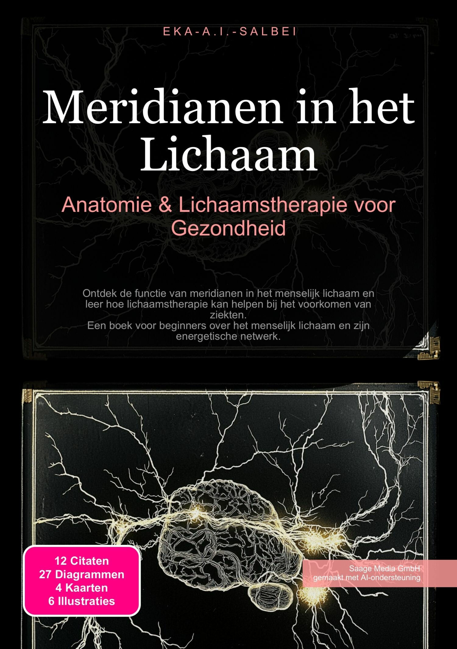 Cover Meridianen in het Lichaam