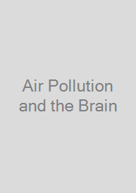Cover Air Pollution and the Brain