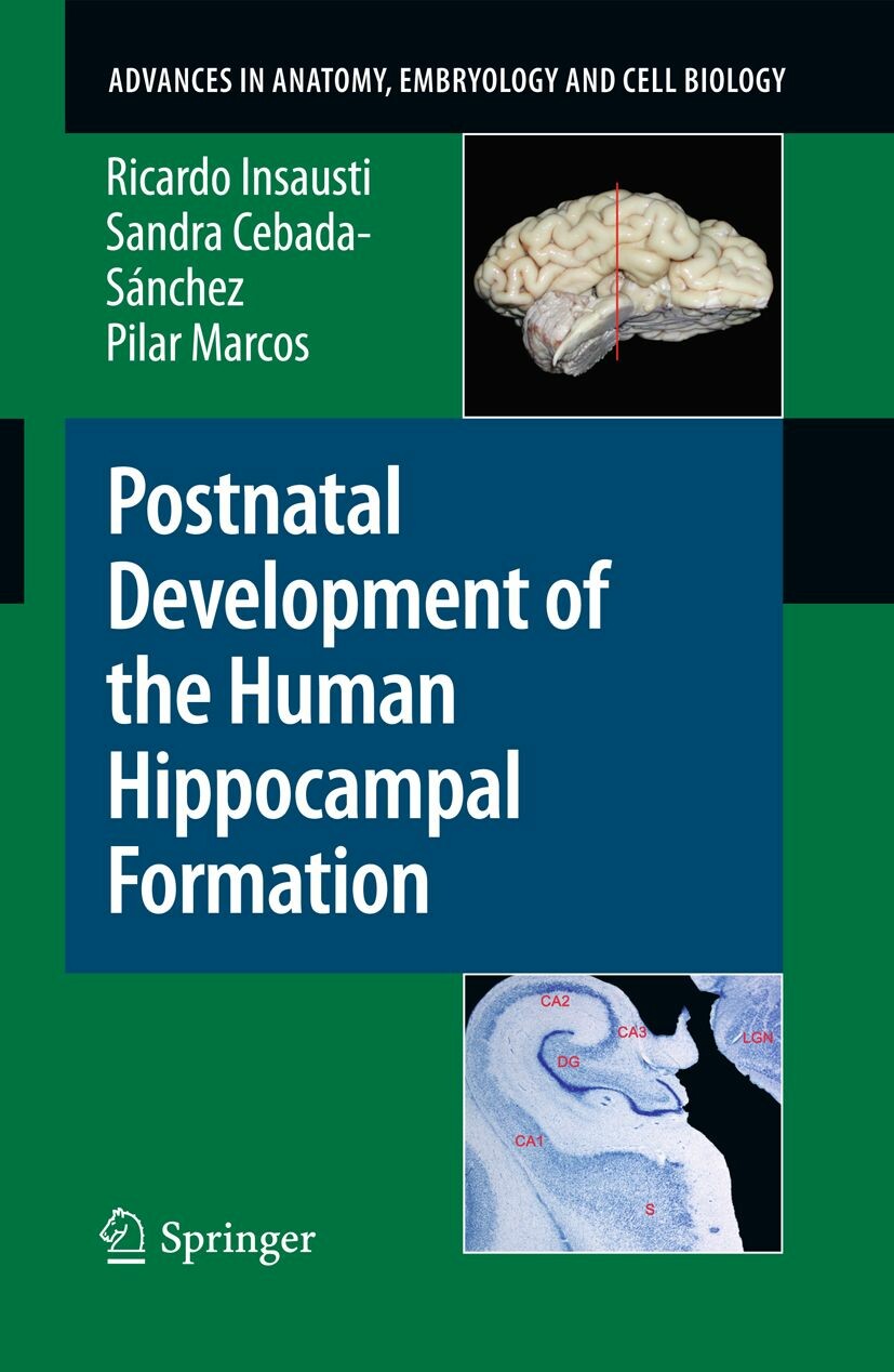 Postnatal Development of the Human Hippocampal Formation