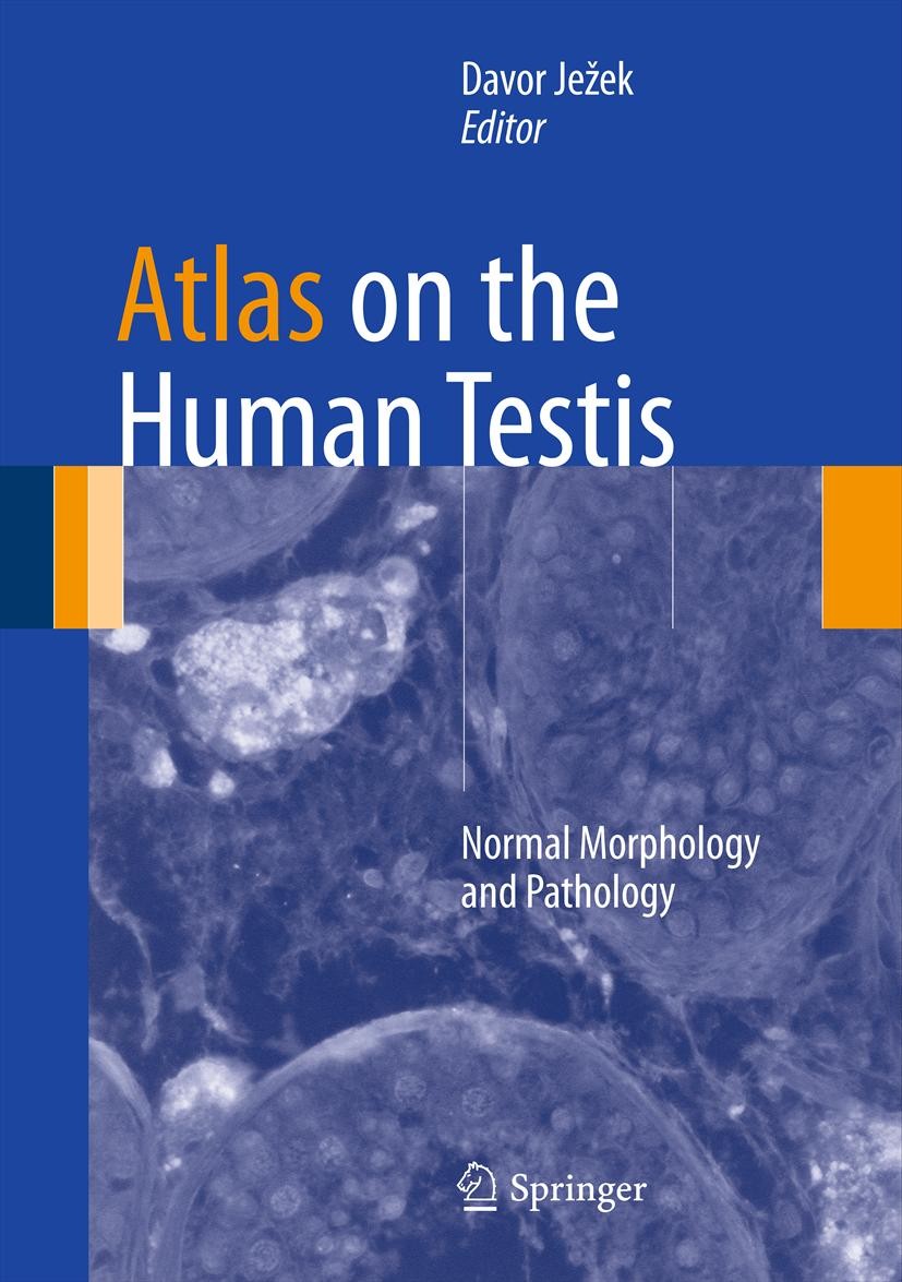 Atlas on the Human Testis