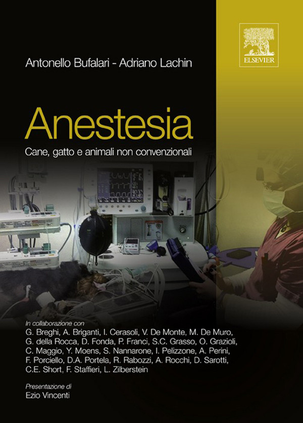 Cover Anestesia