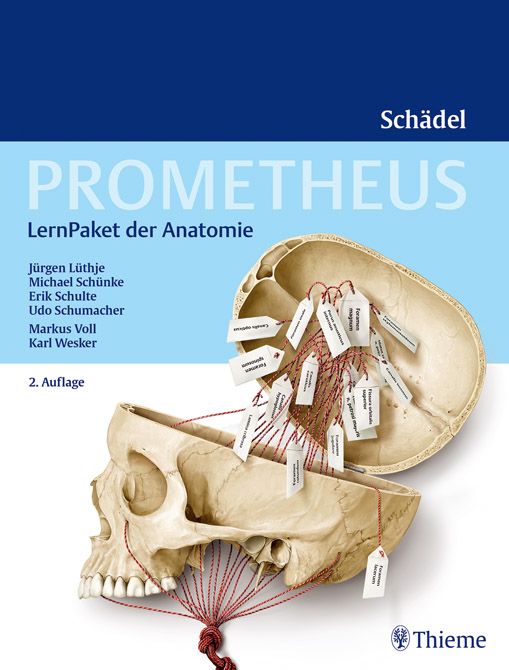 PROMETHEUS LernPaket der Anatomie - Schädel