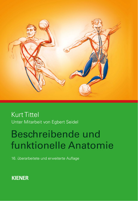 Beschreibende und funktionelle Anatomie