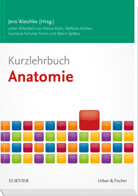 Kurzlehrbuch Anatomie