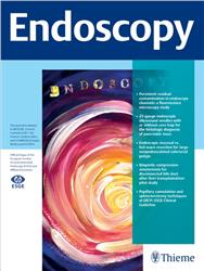 Cover Endoscopy